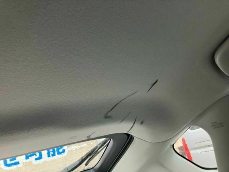 PRIUS-10