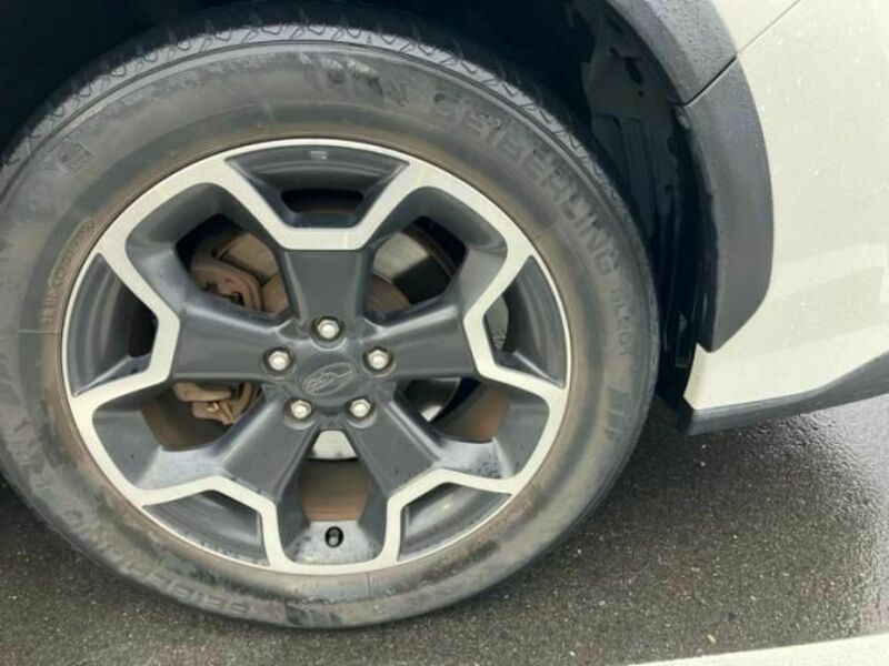 XV