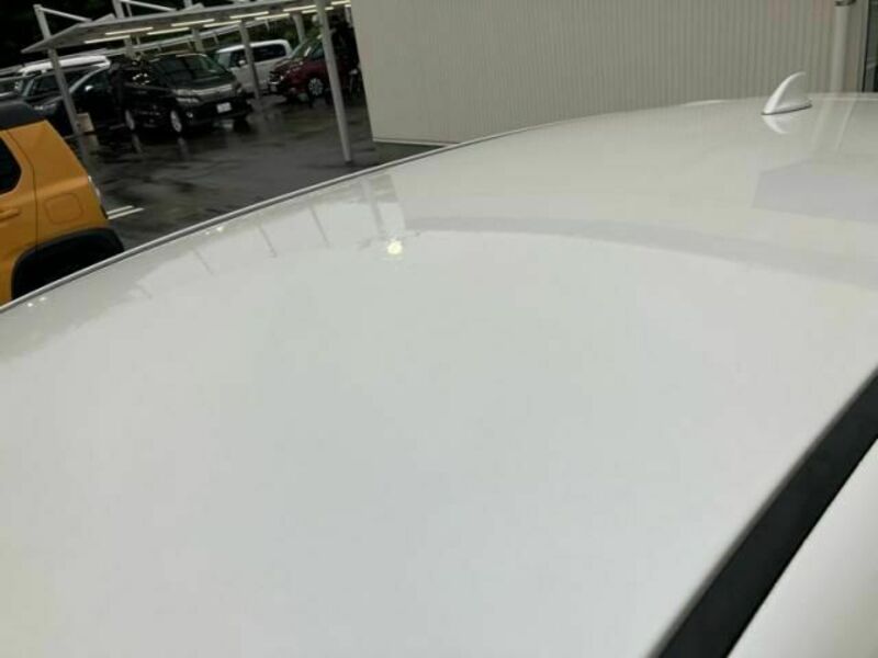 XV
