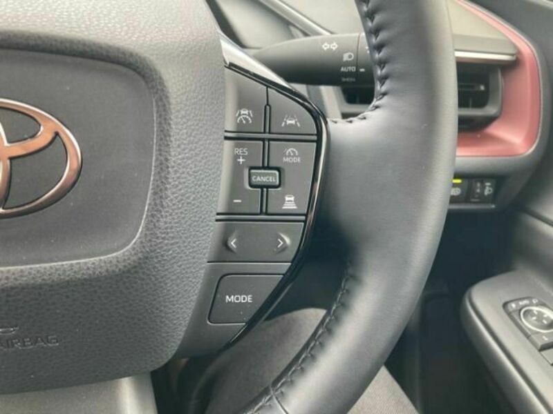 PRIUS-19