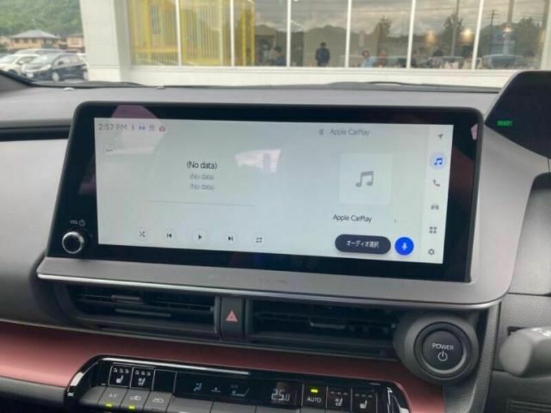 PRIUS-25