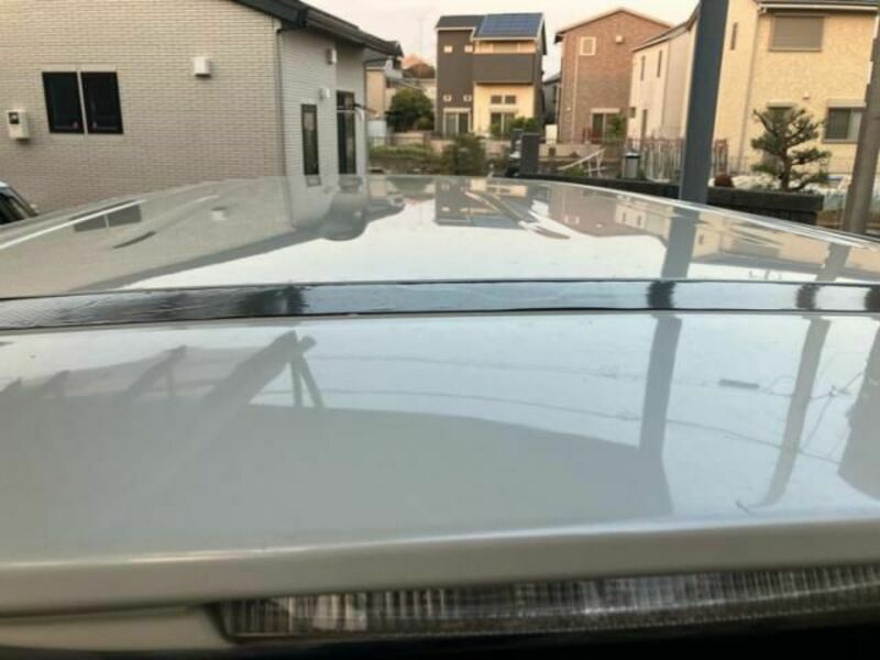 ELGRAND-4