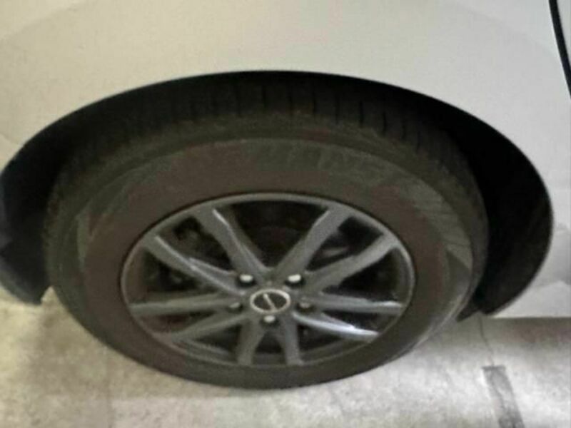 AURIS