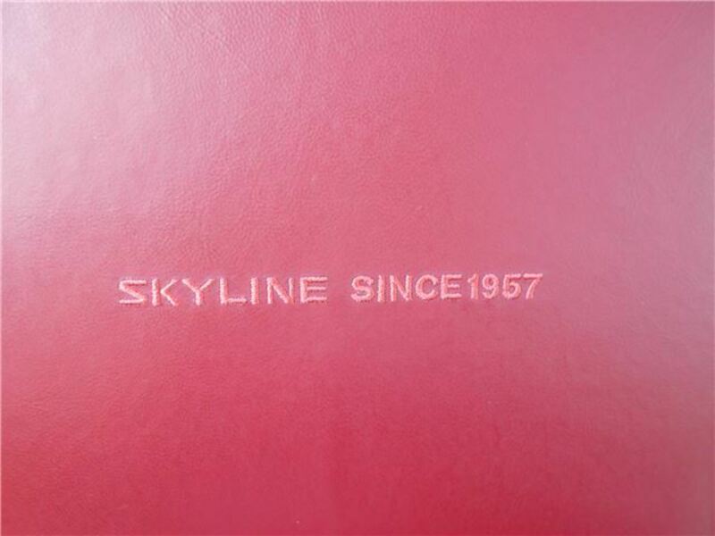 SKYLINE