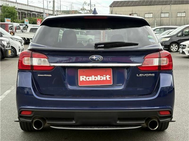 LEVORG