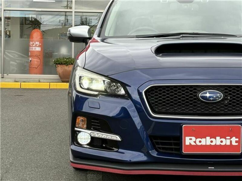 LEVORG