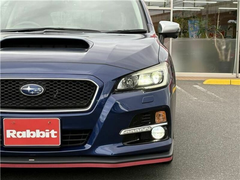 LEVORG