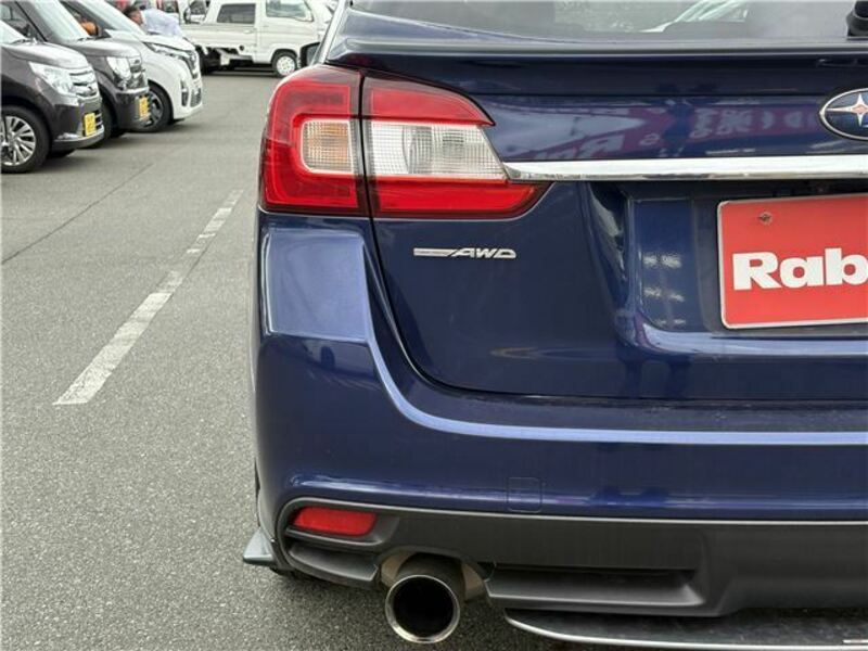 LEVORG