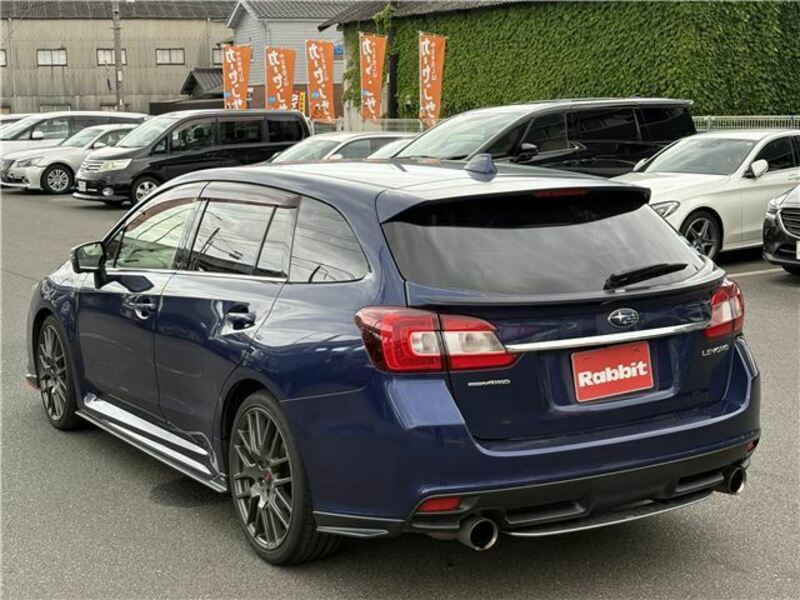 LEVORG
