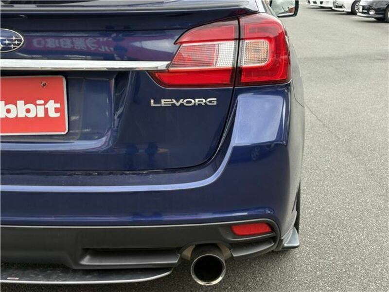LEVORG