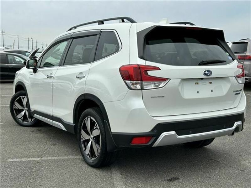FORESTER