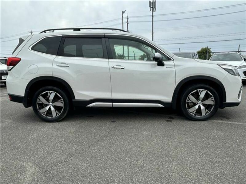 FORESTER