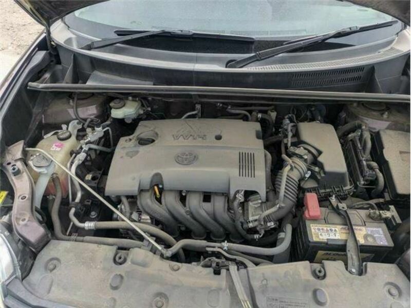 COROLLA RUMION