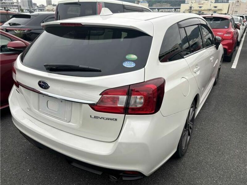 LEVORG