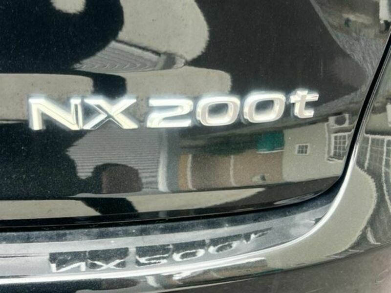 NX