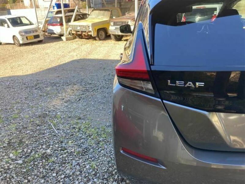 LEAF-19