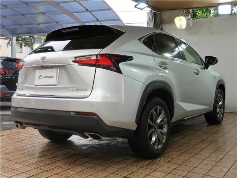 NX