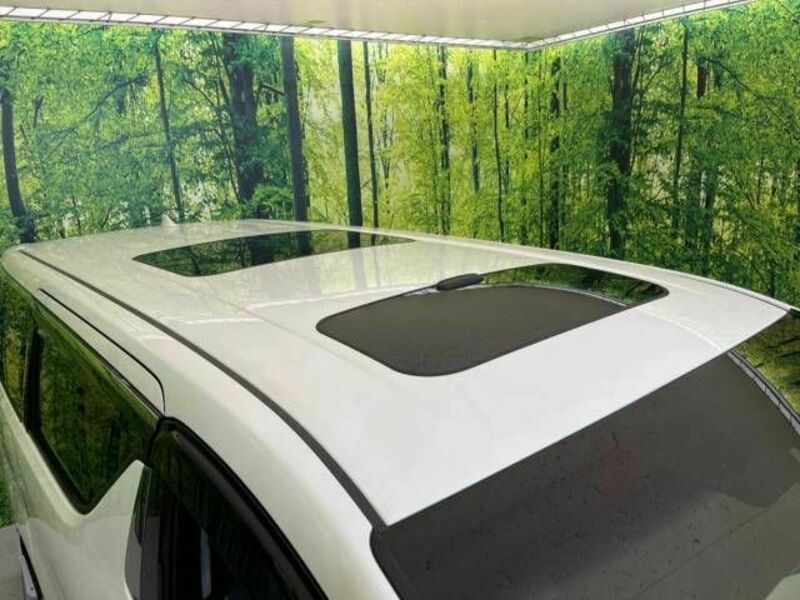ALPHARD-2