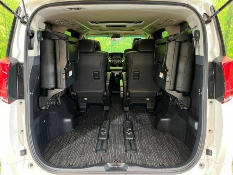 ALPHARD-10