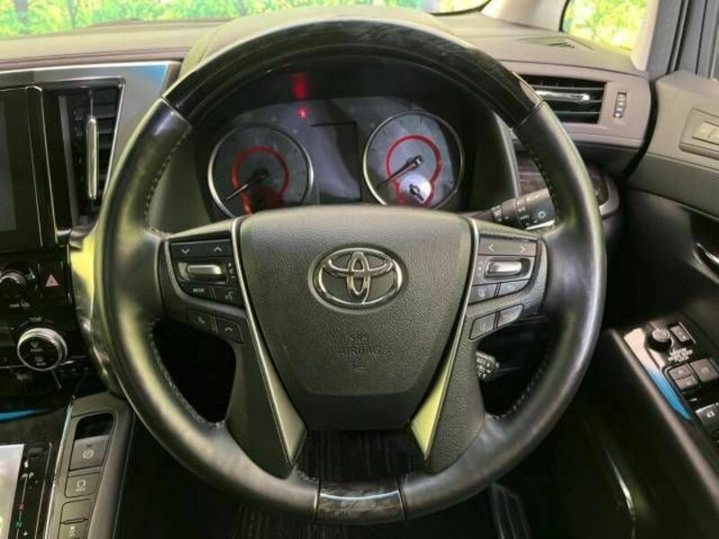 ALPHARD-11