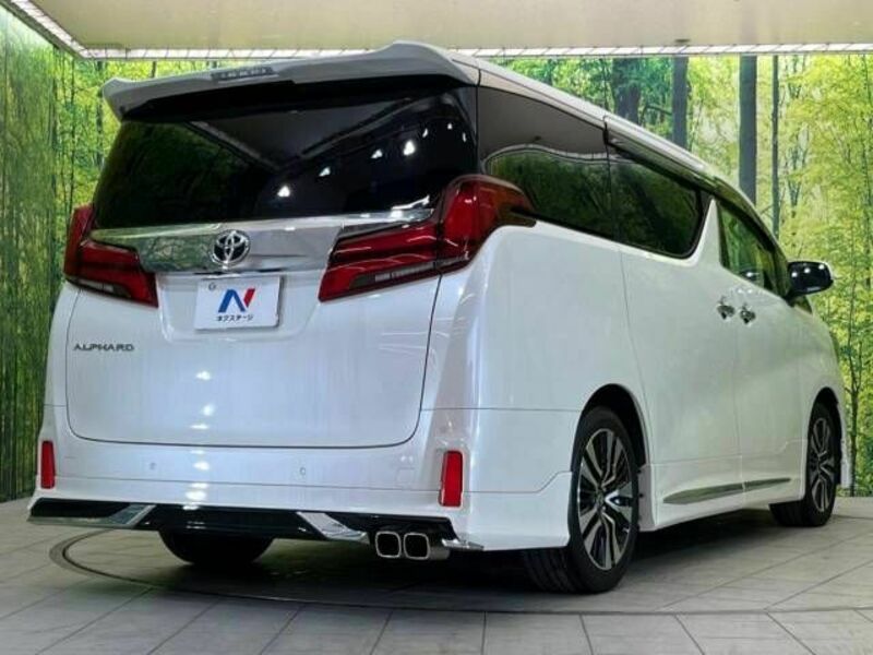 ALPHARD-17