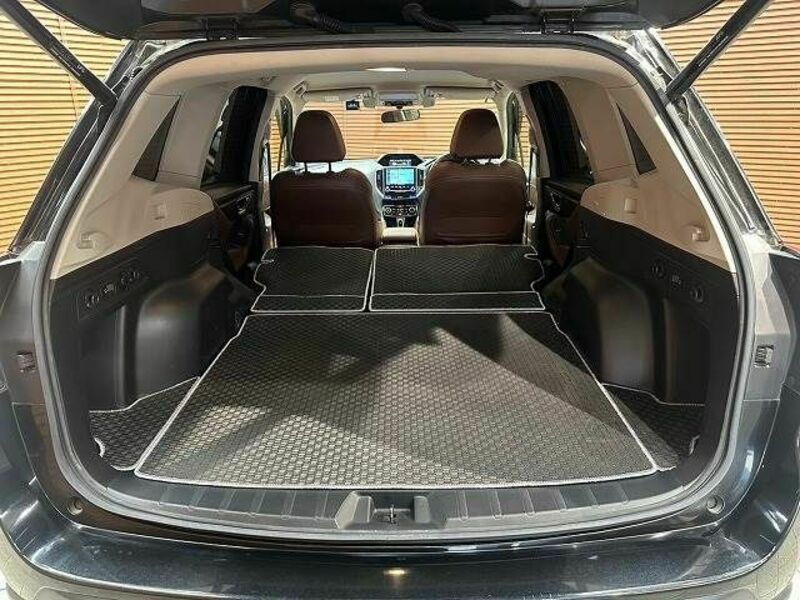 FORESTER-19