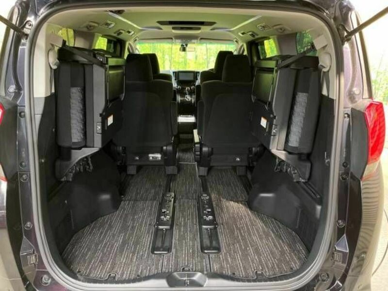 ALPHARD-10