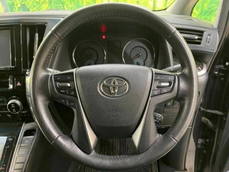 ALPHARD-11