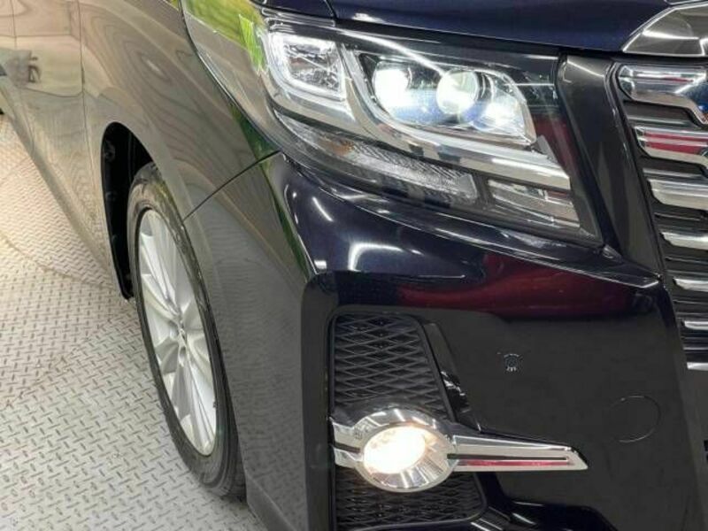 ALPHARD-12