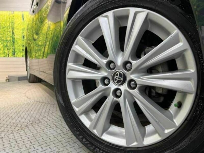 ALPHARD-13