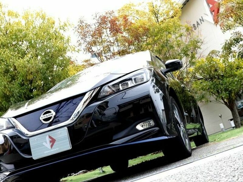 LEAF-7