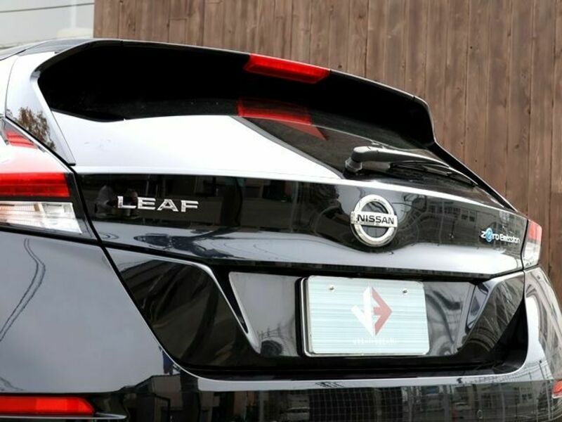 LEAF-13