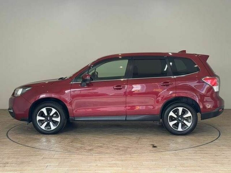 FORESTER