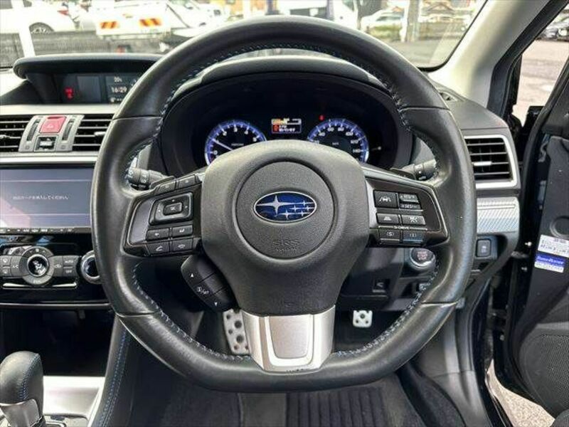 LEVORG