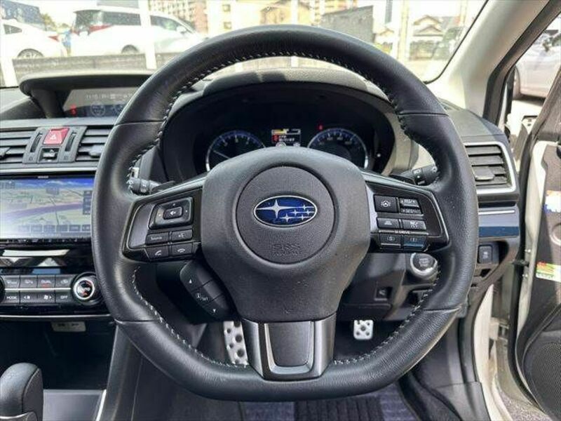 LEVORG