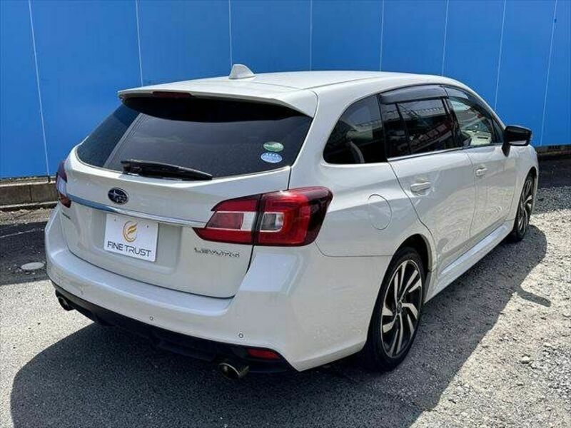 LEVORG