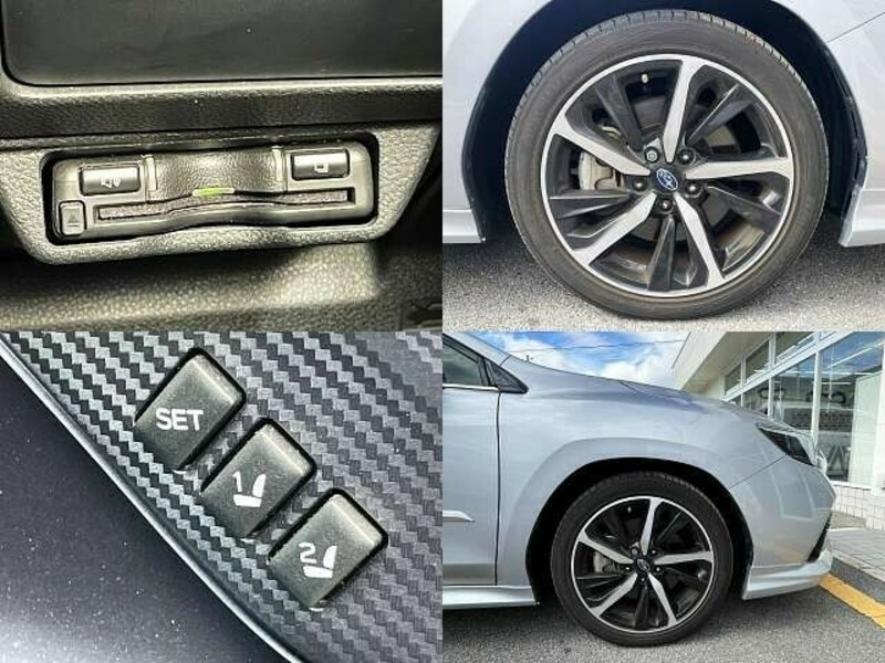 LEVORG-8