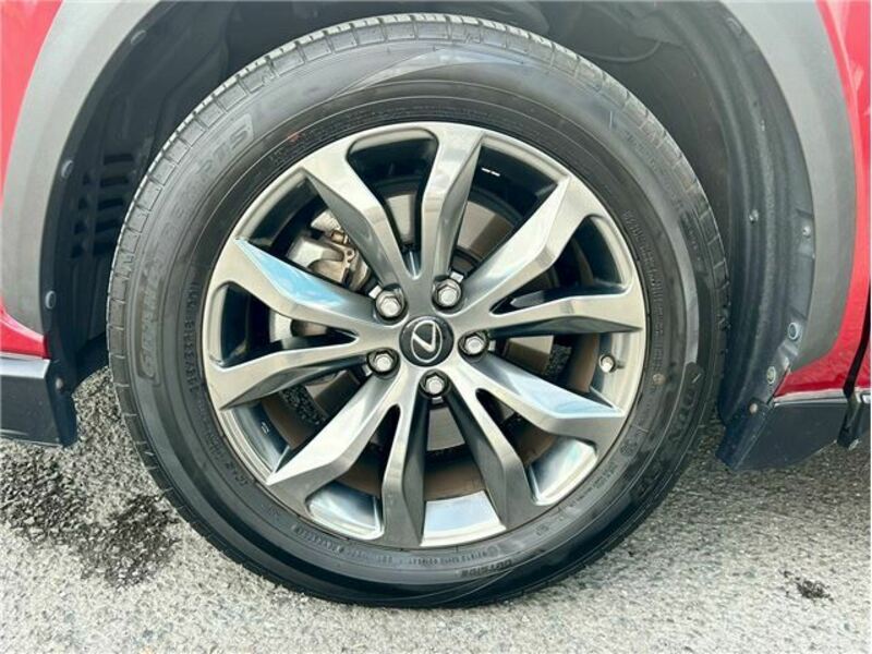 NX