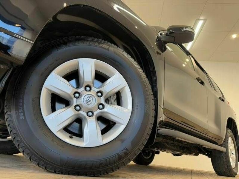 LAND CRUISER PRADO-17