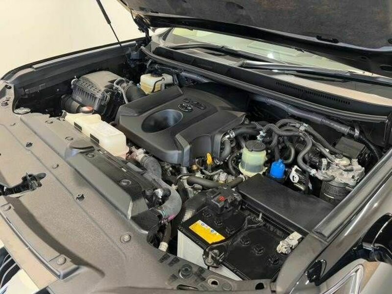 LAND CRUISER PRADO-19