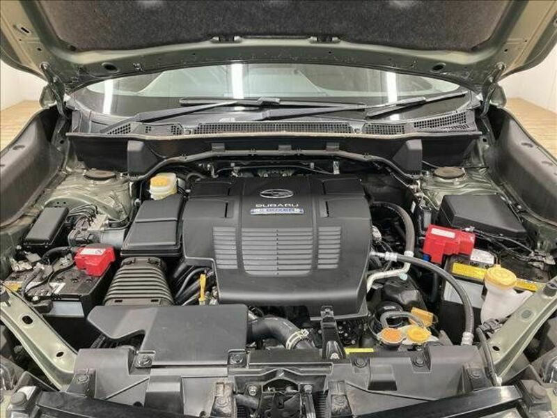 FORESTER-17