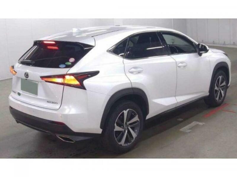 NX