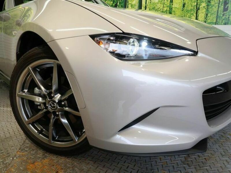 ROADSTER RF-11