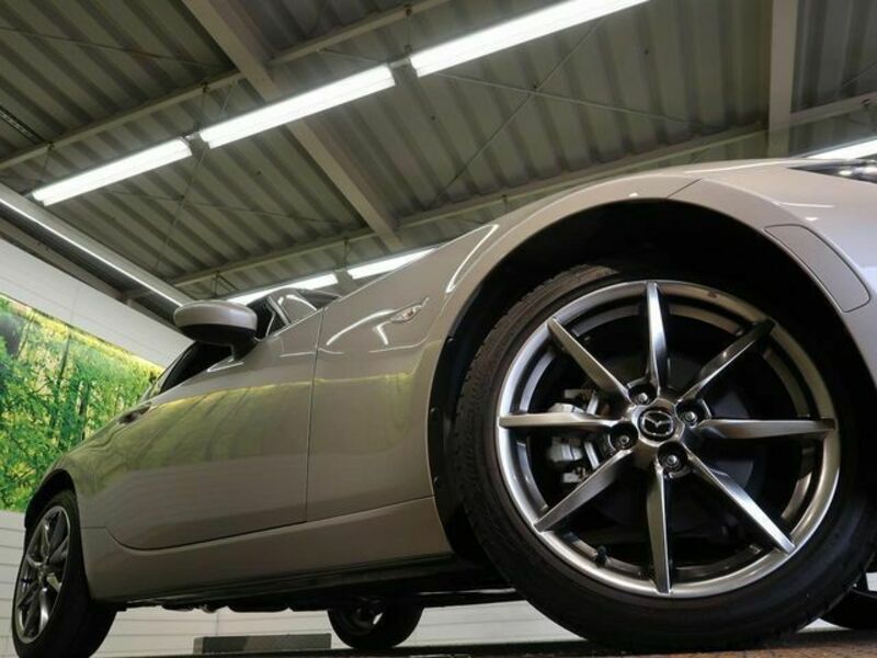 ROADSTER RF-12