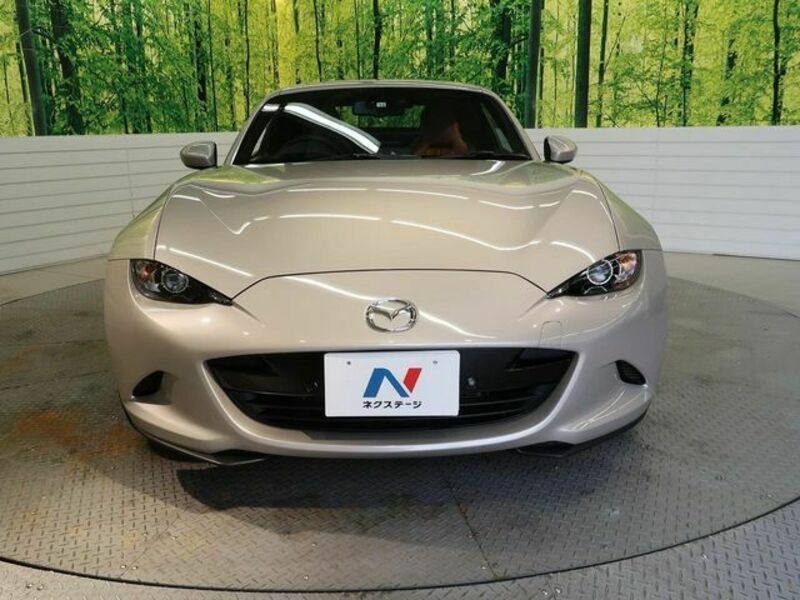 ROADSTER RF-13