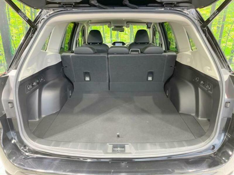 FORESTER-10