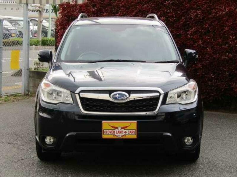 FORESTER-6