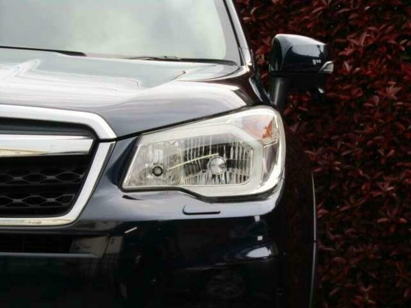 FORESTER-17