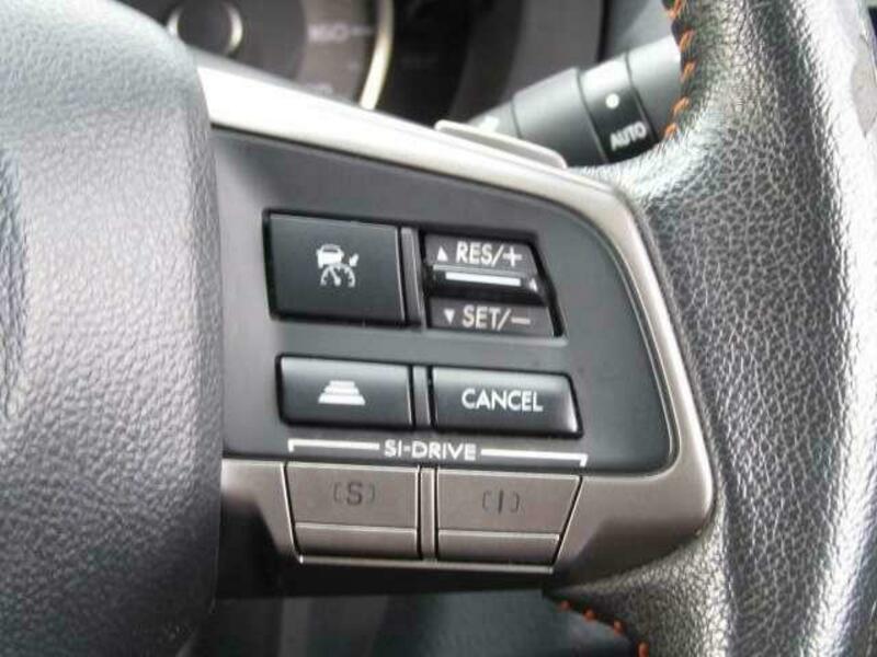 FORESTER-7