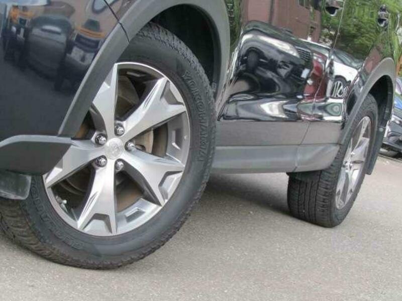 FORESTER-8